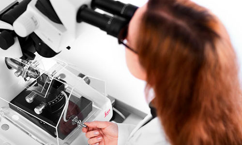bioimaging-chile-preparacion-de-muestras